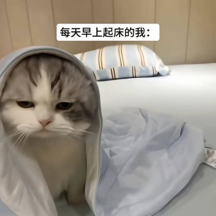 ***