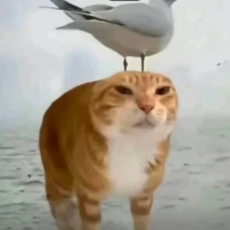 ***