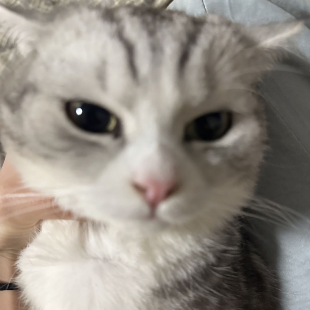 ***