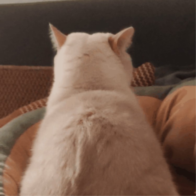 ***