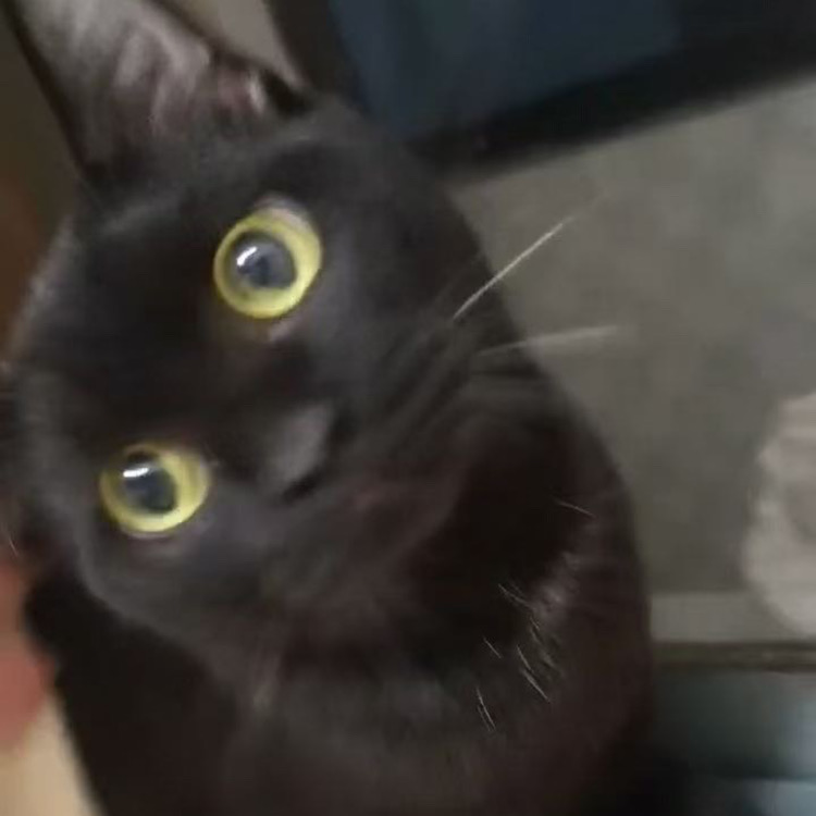 ***